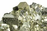 Gleaming Pyrite Crystal Cluster with Quartz Crystals - Peru #350805-4